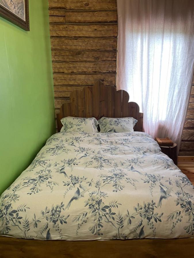 Stebuklas Coliving VNO Buitenkant foto