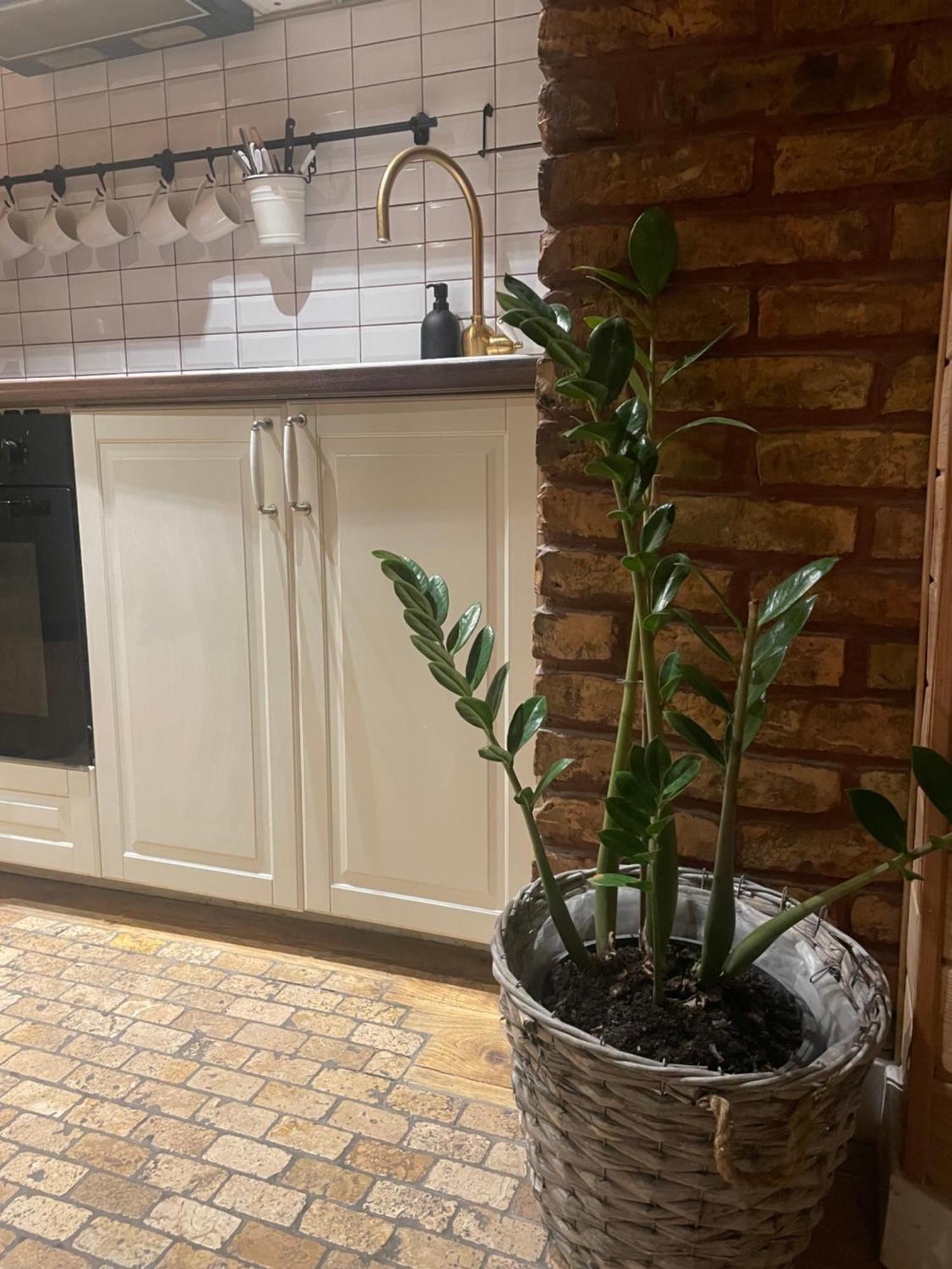 Stebuklas Coliving VNO Buitenkant foto